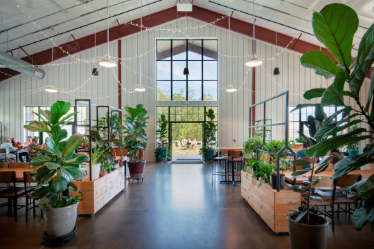 Eastern Divide Brewing - Inside